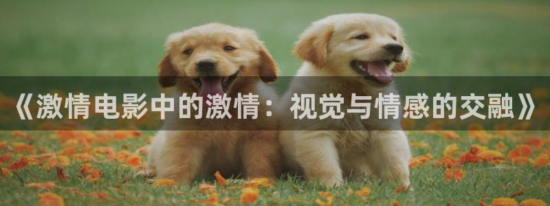 星空影院最新电视剧免费观看